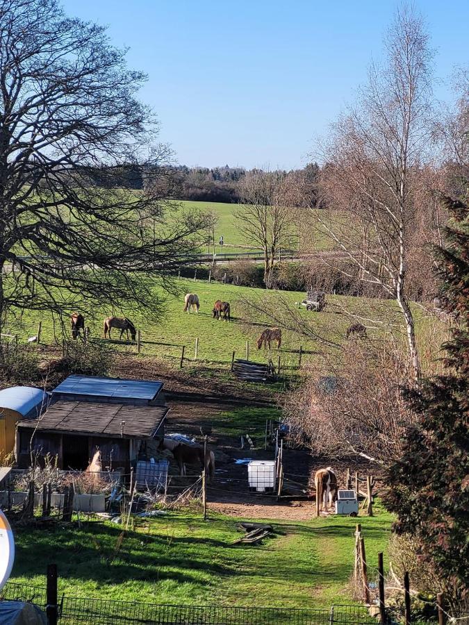 Ferienwohnung Classen Eifel Schleiden Esterno foto