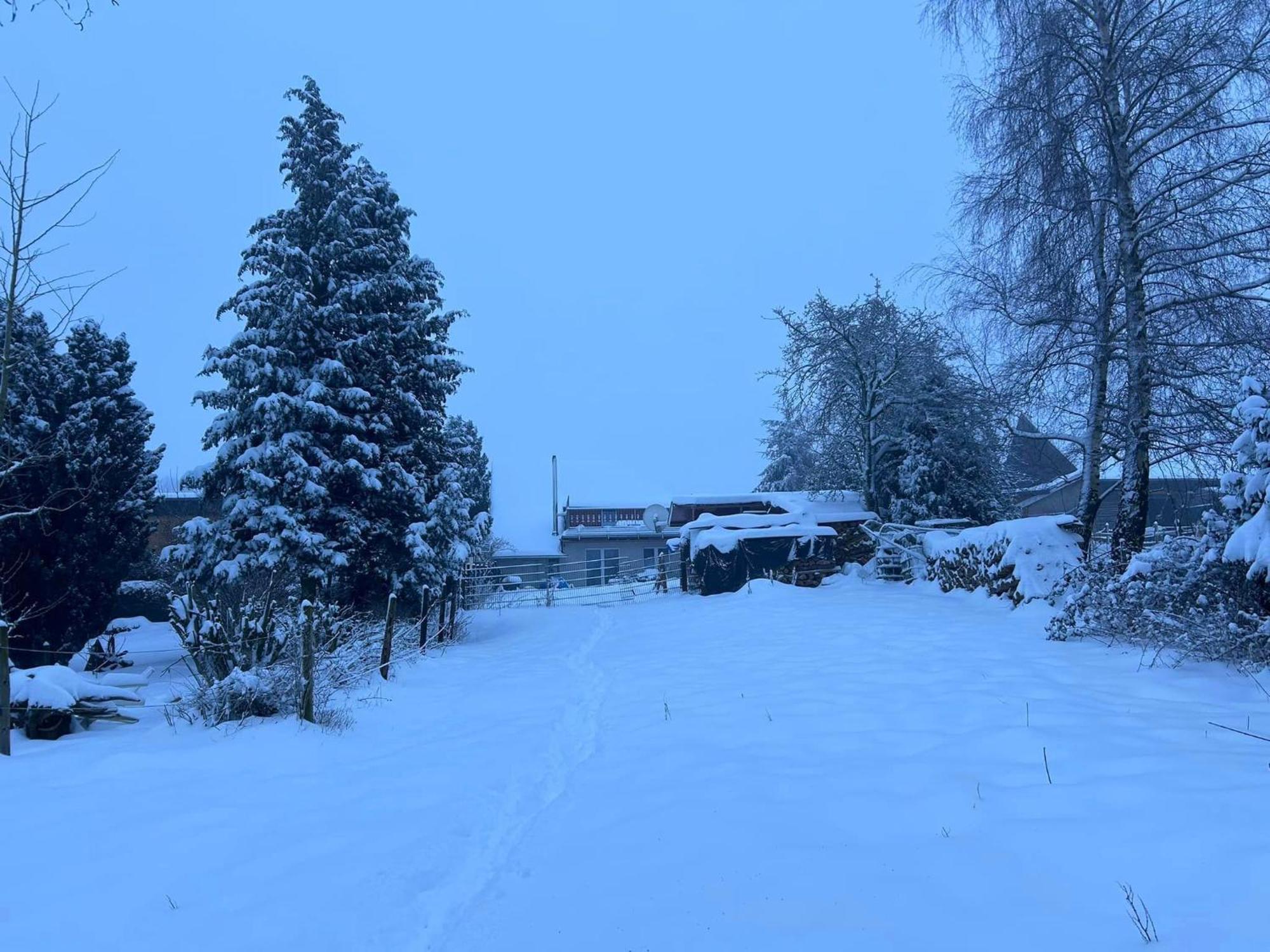 Ferienwohnung Classen Eifel Schleiden Esterno foto